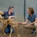Dierennieuws en Tips van Dierenpraat TV