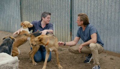 Dierennieuws en Tips van Dierenpraat TV